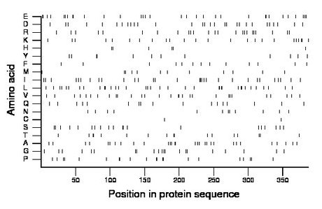 amino acid map