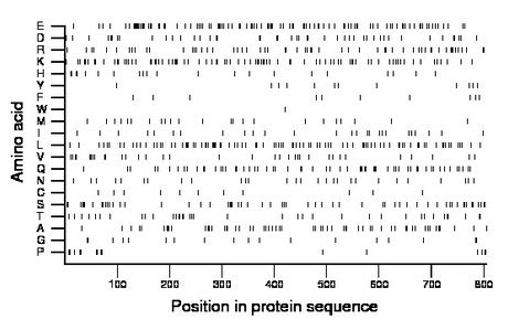 amino acid map