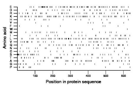 amino acid map