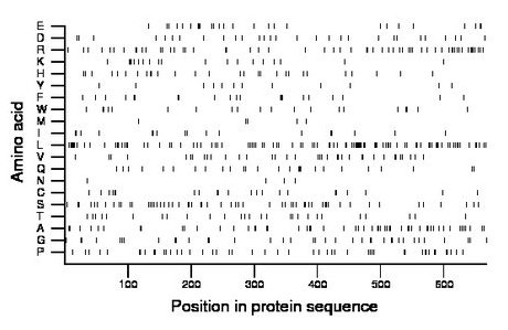 amino acid map