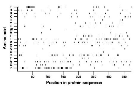 amino acid map