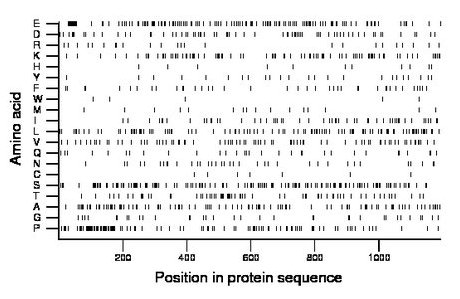 amino acid map