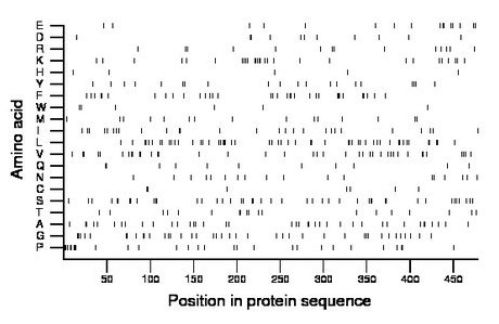 amino acid map