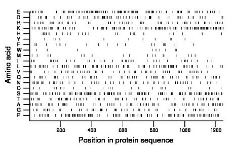 amino acid map