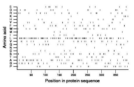 amino acid map