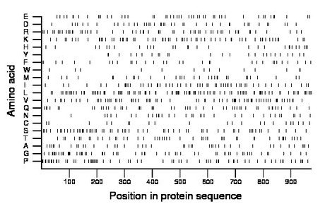 amino acid map