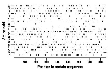 amino acid map