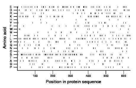 amino acid map