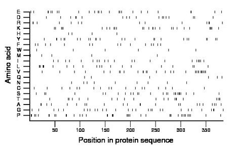 amino acid map