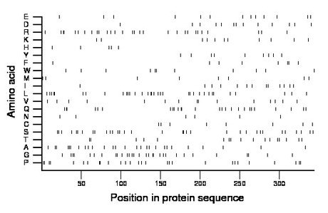 amino acid map