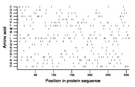 amino acid map