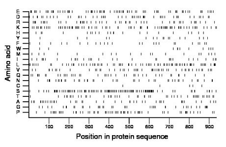 amino acid map