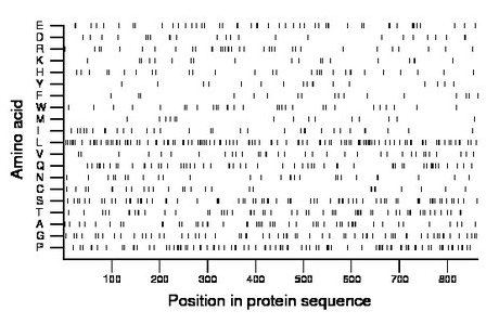 amino acid map