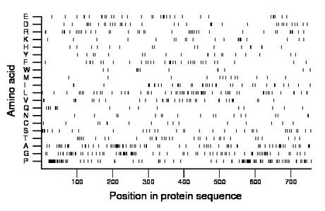 amino acid map