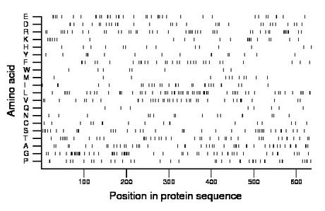 amino acid map