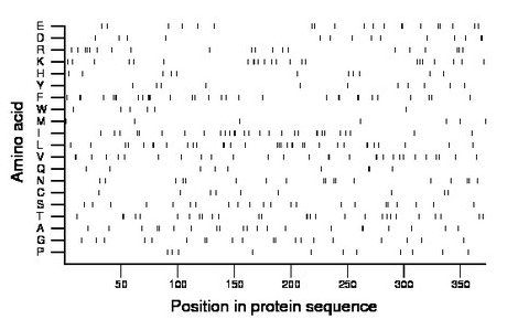 amino acid map