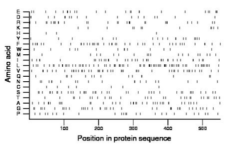 amino acid map