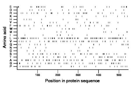 amino acid map