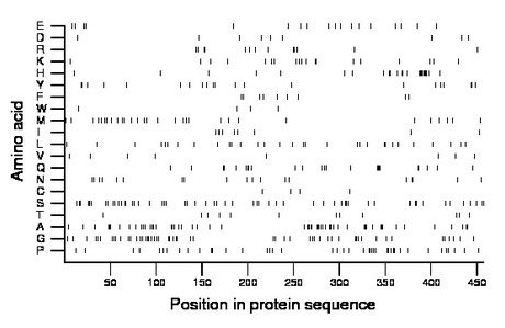 amino acid map