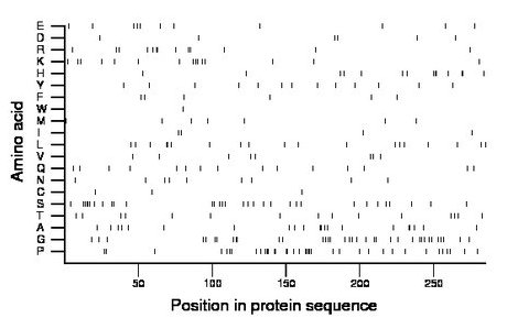 amino acid map