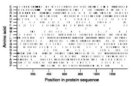 amino acid map