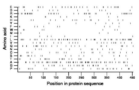 amino acid map