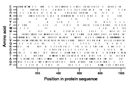 amino acid map