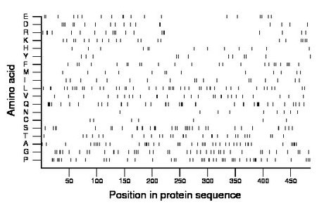 amino acid map