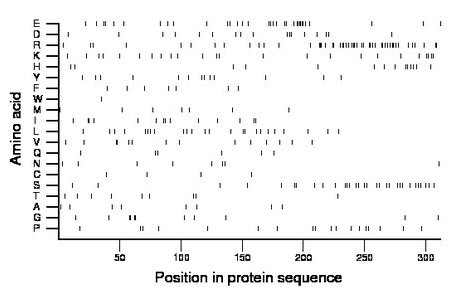 amino acid map