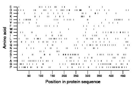 amino acid map