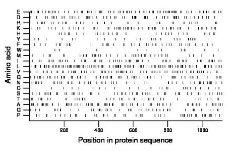 amino acid map