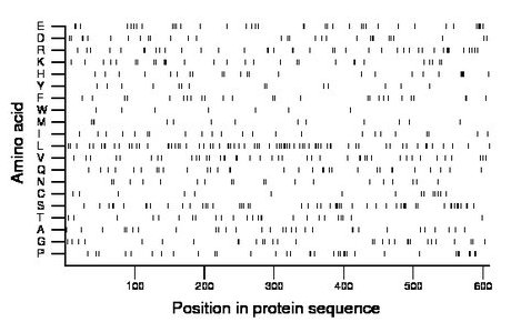 amino acid map