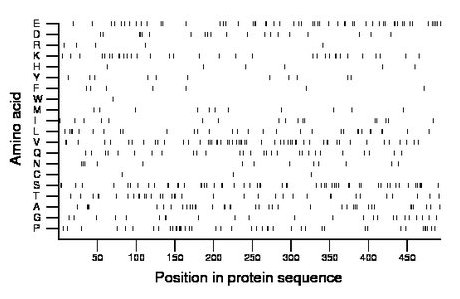 amino acid map