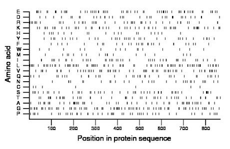 amino acid map