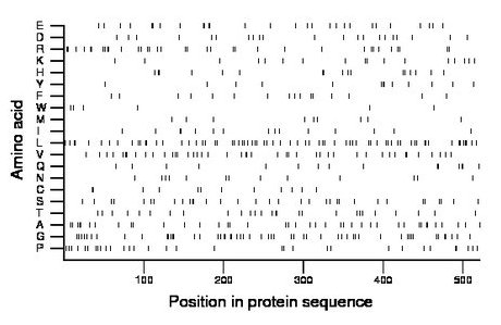 amino acid map