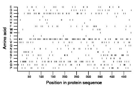 amino acid map