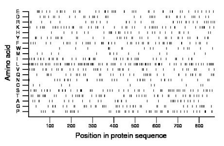 amino acid map