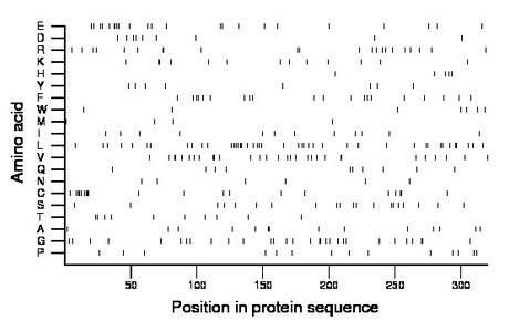 amino acid map