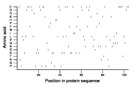 amino acid map