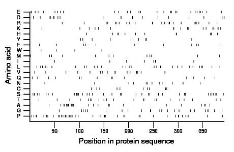 amino acid map