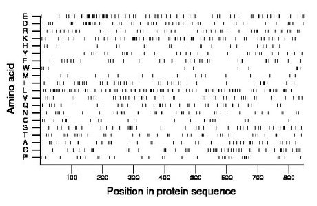 amino acid map