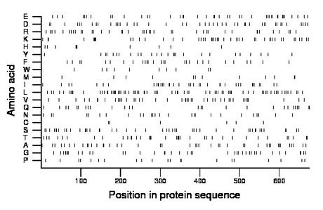 amino acid map