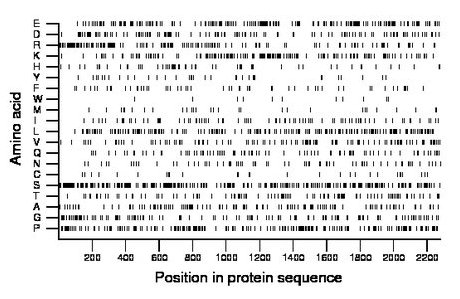 amino acid map