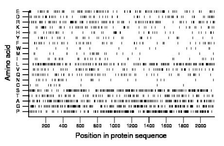 amino acid map