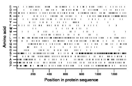 amino acid map