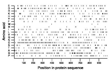 amino acid map