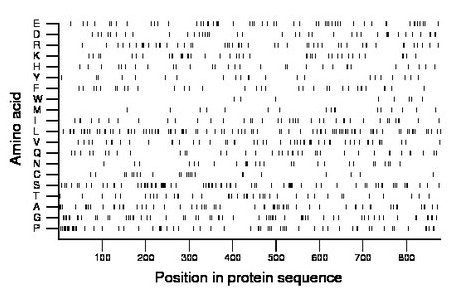 amino acid map