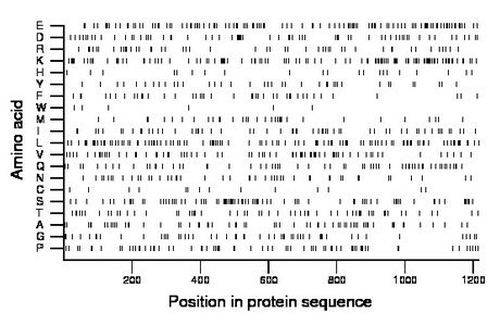 amino acid map