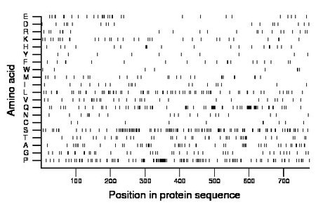 amino acid map