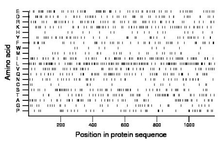 amino acid map